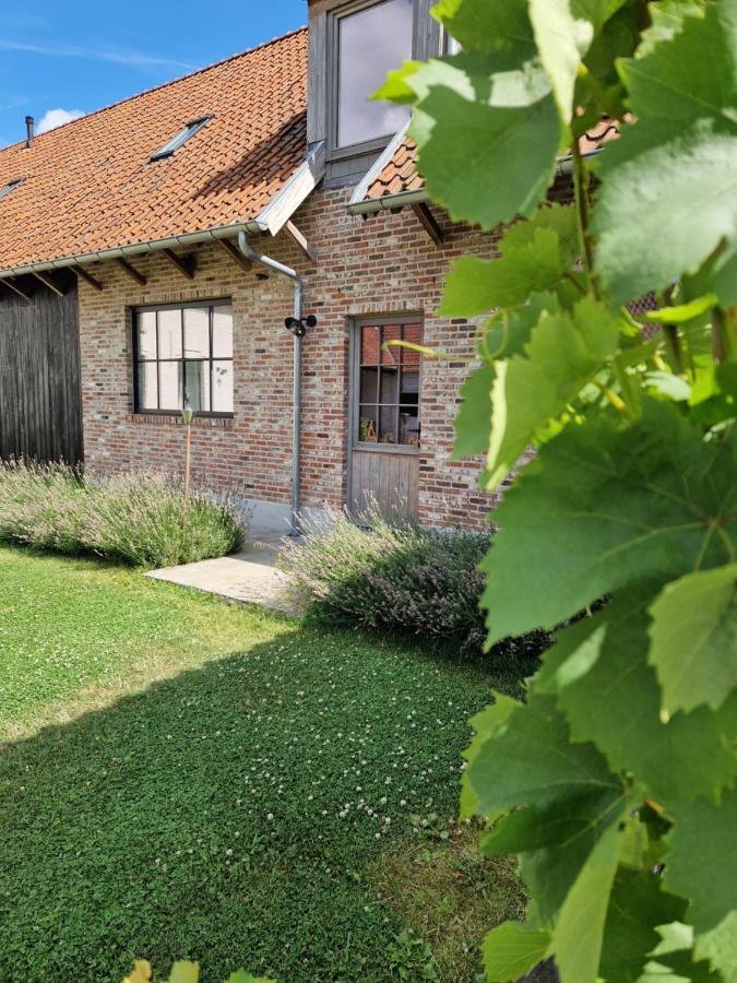 Muntershof Villa Velzeke-Ruddershove Exterior foto